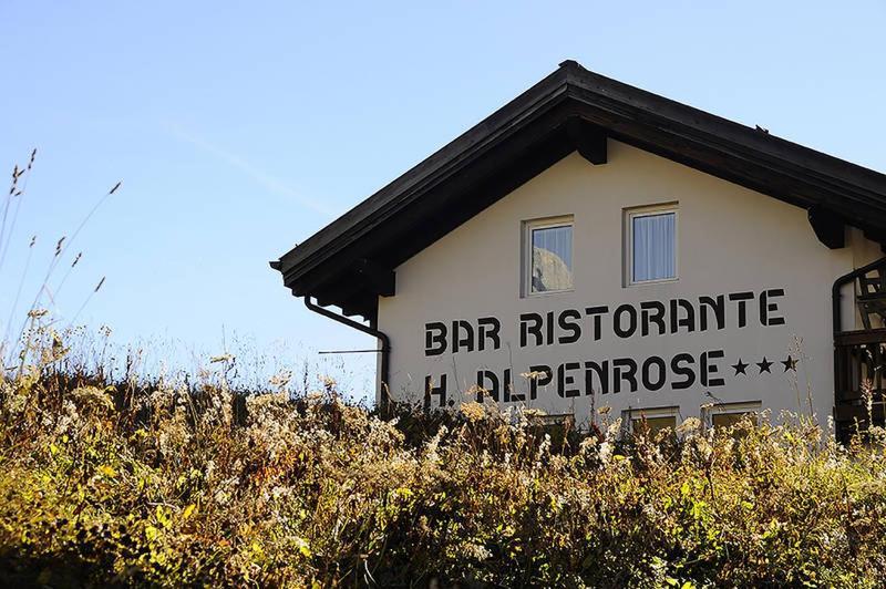 Hotel Alpenrose Passo Rolle Exterior photo